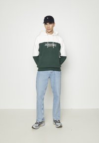 Jack & Jones EDAN BLOCKING - Mikina s kapucí - grün