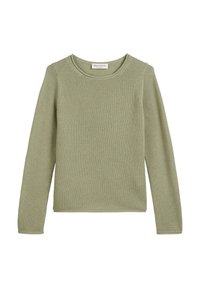 DFC REGULAR AUS SOFTEM  - Trui - smooth sage