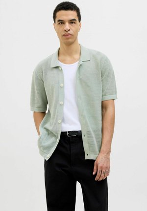 Cardigan scurt cu mânecă scurtă, de culoare verde deschis, tricotat, cu guler și închidere cu nasturi, purtat peste un tricou alb și asortat cu pantaloni negri.