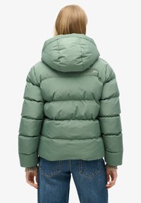 Superdry & Co HOODED PUFFER - Giacca invernale - laurel khaki