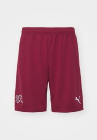 Puma SWITZERLAND SFV REPLICA - Landsholdstrøjer - team regal red/red