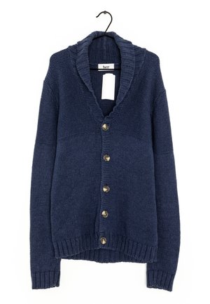 Bruuns Bazaar Gilet - blue