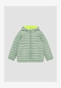 Geselecteerd, salbeigrün