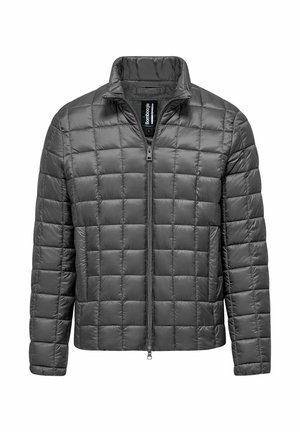 TRAPUNTATO - Giacca invernale - frost grey