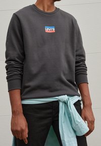 Šedá mikina s kulatým výstřihem, na hrudi červené, modré a bílé logo Levi's. Světle modrá košile uvázaná kolem pasu.