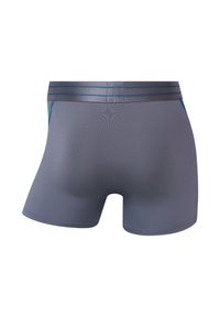 Gray boxer shorts featuring a smooth texture, a snug fit, and a contrasting striped waistband in dark blue and light blue accents.