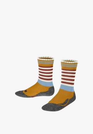Mehrfarbige Knöchelsocken mit gestreiften Mustern in Rot, Blau und Gelb, mit grauem Zehen- und Fersenbereich sowie gerippten Bündchen.