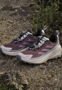 Paar lila und weiße Gore-Tex Trailrunning-Schuhe auf felsigem Boden in der Nähe kleiner grüner Pflanzen.