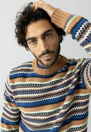 Muškarac s kovrčavom tamnom kosom i bradom, koji nosi džemper s plavim, smeškim i krem uzorkom, odmara ruku na glavi, neutralna pozadina.