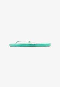 Unselected, water green white
