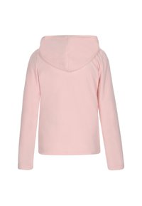 Felpa rosa chiaro con maniche lunghe e cappuccio abbinato. Texture liscia, senza motivi o accessori visibili. Design semplice e lineare.