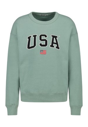 Lichtgroene crewneck trui met "USA" in grote zwarte letters en een kleine Amerikaanse vlag onder de tekst.