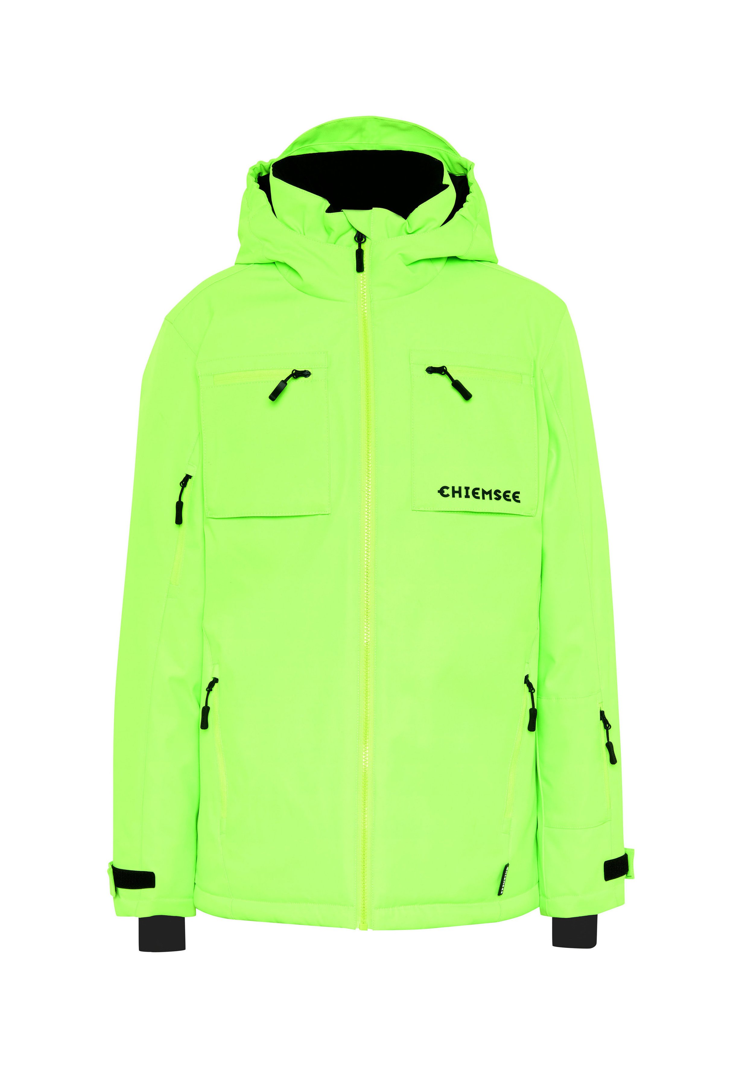 thetoé Chiemsee Jacket Chiemsee MIT BACKPRINT - Snowboard jacket - green gecko/green