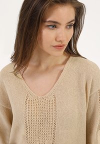 Pull en tricot beige avec un décolleté en V et des détails de points ajourés sur le devant. Texture douce avec des manches à coupe ample et des motifs subtils.