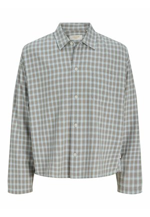 Junge Person steht, trägt ein blaues T-Shirt, offene graue karierte Hemd, gewaschene beige weite Hosen und braune Schuhe auf weißem Hintergrund.