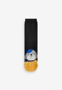 Next 5 PACK  - REGULAR FIT - Calze - fashion dogs