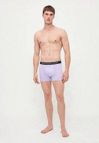 Lilac stretch cotton boxer briefs with a black elastic waistband featuring white "POLO RALPH LAUREN" text. Smooth texture, fitted design.