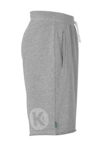 Grijze sportshorts met een elastische tailleband, zijzakken, witte trekkoord en een circulair logo-detail op het linkerbeen.