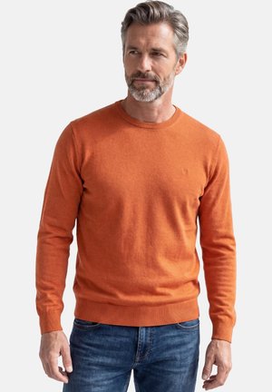 Mann mit grauem Haar und Bart, der einen orangen Pullover mit langen Ärmeln und blaue Jeans trägt, steht und schaut leicht zur Seite.