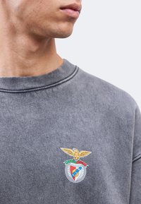 Κοντινό πλάνο ενός ατόμου που φοράει γκρι φούτερ με πολύχρωμο έμβλημα αετού και ασπίδας στο στήθος.