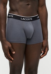 Male torso and upper legs wearing gray Lacoste boxer briefs with black waistband featuring the Lacoste brand name in white.