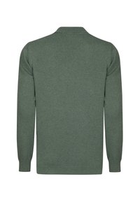 Grøn strikket pullover-trøje med lange ærmer og ribstrikket halskant og manchetter. Glat tekstur med ensfarvet design og almindelig pasform.