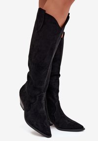 Bottes noires en daim à hauteur de genou avec des bouts pointus, des découpes arrondies et un petit talon, dotées de fermetures éclair latérales. Texture douce avec finition lisse.