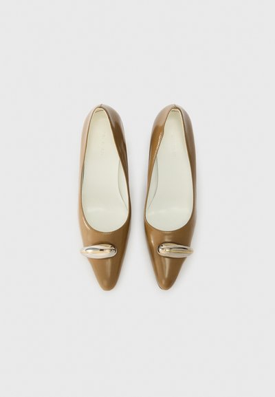 Escarpins en cuir verni marron avec un bout pointu, présentant un accent métallique doré sur le côté et une doublure intérieure lisse.