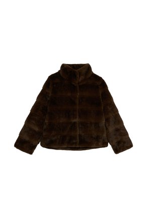 Veste en fausse fourrure marron avec un col, des manches longues, des détails de couture horizontale et un design court. Texture douce.