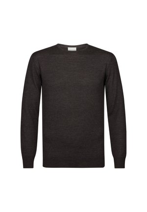 PROFUOMO THE MERINO CREW-NECK - Maglione - dark brown