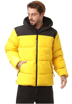 ESTEVAN - Winter jacket - black / yellow