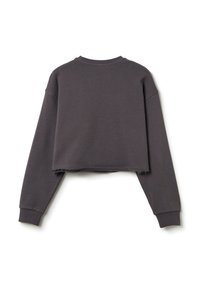 Cropped grijze sweatshirt met een ronde hals, lange mouwen en een ruwe zoom. Gemaakt van een zachte stof met een soepele textuur. Geen zichtbare logo's.