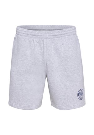 HUMMEL SWIM SHORTS - Badeshorts - light grey melange