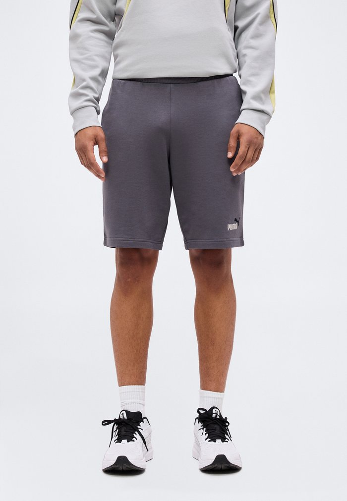 PUMA 2 COLOR NO. 1 COLOR LOGO SHORTS - Sports shorts - moody gray