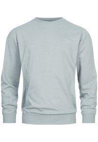 Sudadera de cuello redondo en gris claro con mangas largas y puños y dobladillo acanalados, que presenta un sutil logo bordado en el lado izquierdo del pecho.
