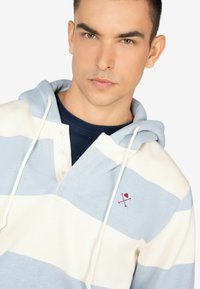 Gestreept hooded sweatshirt met lichte blauw- en crèmekleuren, een knoopsluiting en geborduurd ontwerp op de borst. Gemaakt van katoen.