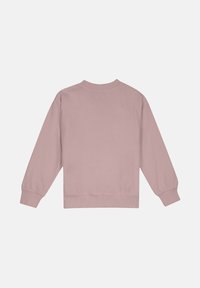 Sudadera rosa de tela suave, con mangas largas, cuello redondo y puños y dobladillo acanalados. Textura lisa sin elementos de diseño visibles.