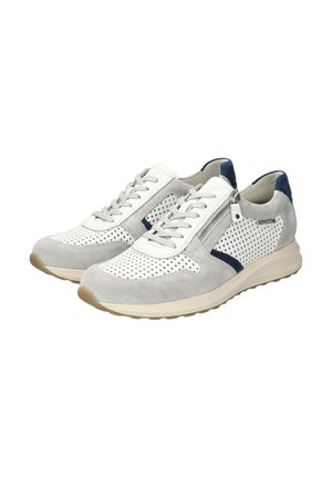 DINO - Baskets basses - gris