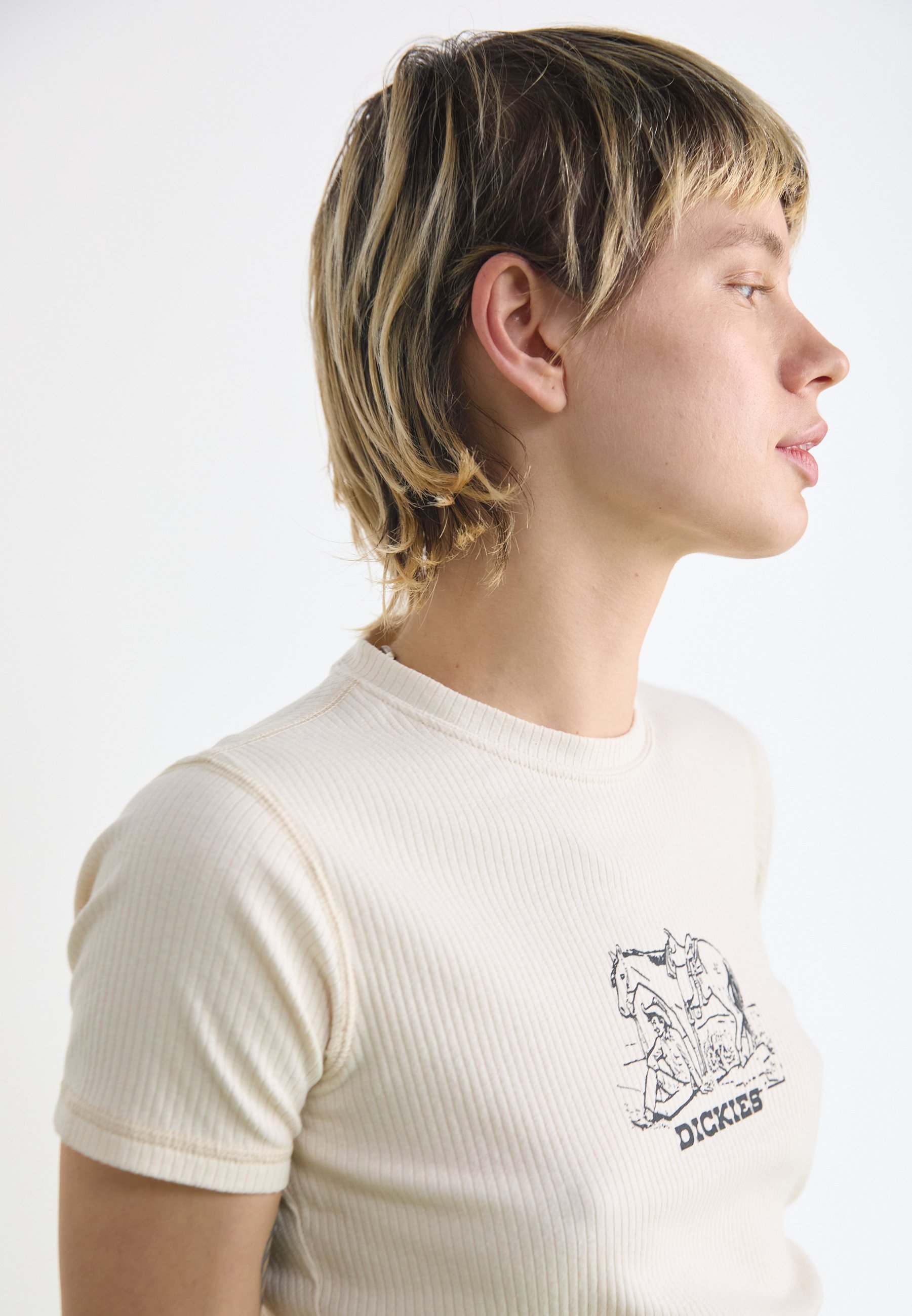 Dickies COMPANION CENTER LOGO TEE - T-shirt imprimé