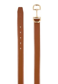 Brauner Leder-Gürtel mit goldener Metallschnalle, fünf Einstelllöchern und glatter Oberfläche auf einem weißen Hintergrund.