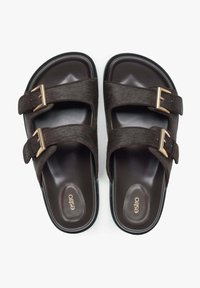 Brown sandals with two adjustable straps, crafted from a soft material with a sleek finish, and gold-tone buckles for a secure fit.