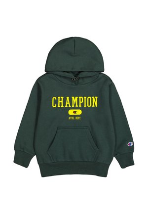 HOODED FIELD OF PLAY - Hoodie - fir