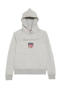 GANT Jersey con capucha - mottled light grey