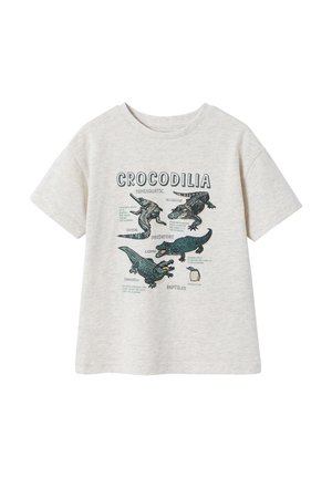 Hellgraues T-Shirt mit kurzen Ärmeln, auf der Vorderseite mit Illustrationen und Beschriftungen verschiedener Krokodilarten sowie einem Krokodilei.