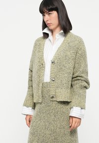 Light green wool cardigan with a cropped design, round neckline, and three metallic buttons. Worn over a white striped shirt, featuring a high collar.