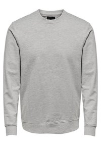 Felpa grigia chiara in tessuto morbido, con collo rotondo, maniche lunghe, polsini a costine e orlo dritto. Senza grafiche o motivi.