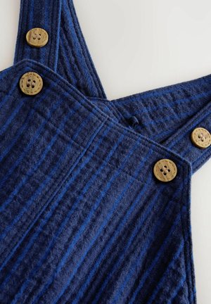 Salopette a righe blu realizzata in tessuto testurizzato, con bottoni in legno sulle bretelle, caratterizzata da linee verticali in diverse sfumature di blu.