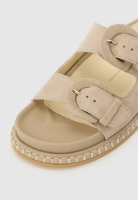 Dolce Vita SHAUNY - Mules - taupe