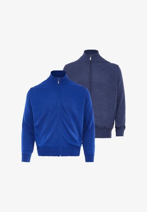 Zwei Herren-Zip-Pullover mit hohem Kragen, einer in Königsblau und einer in Dunkelblau, auf weißem Hintergrund dargestellt.