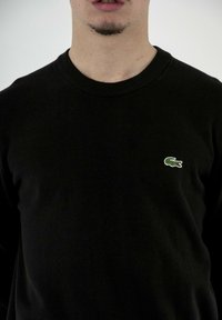 Maglione nero a maglia con scollo rotondo. Presenta un piccolo logo di un coccodrillo verde ricamato sul lato sinistro del petto. Tessuto morbido.